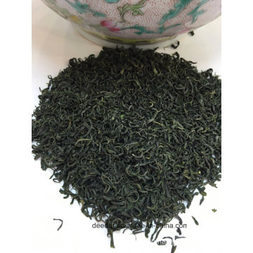 Local Excellent Green Tea with Chunmee Tea